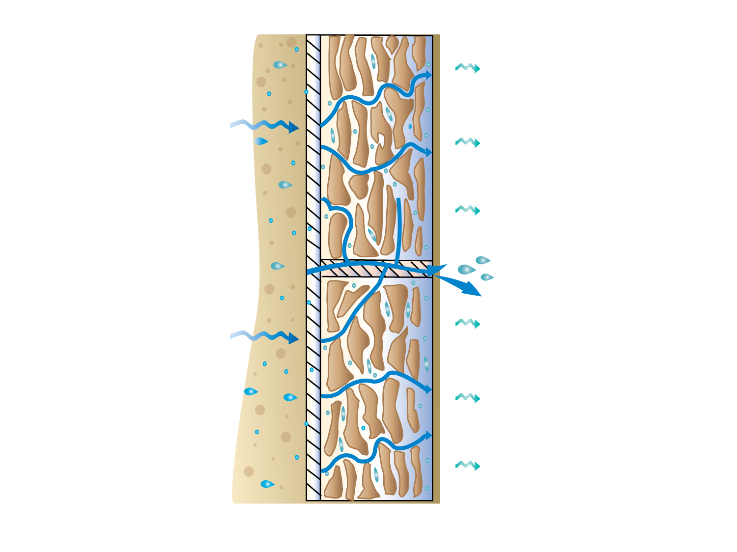 Struktura wewnętrzna i zachowanie wody w płytkach ciagnionych